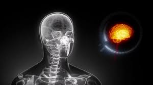 Brain User Manual